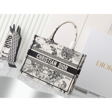 Christian Dior Shopping Bags